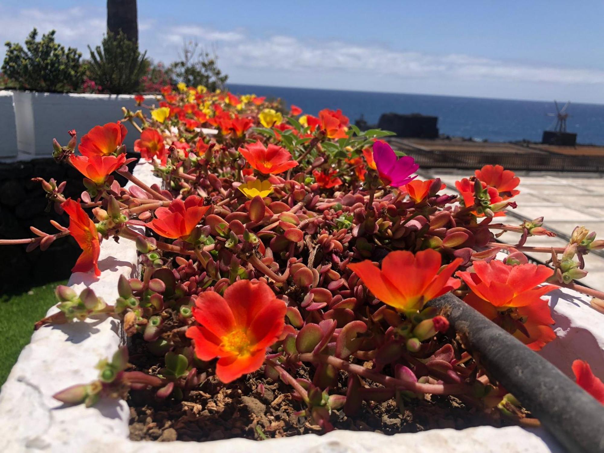 Vivienda Vacacional Sal Y Mar Playa Cancajos.- BreNa Baja  외부 사진